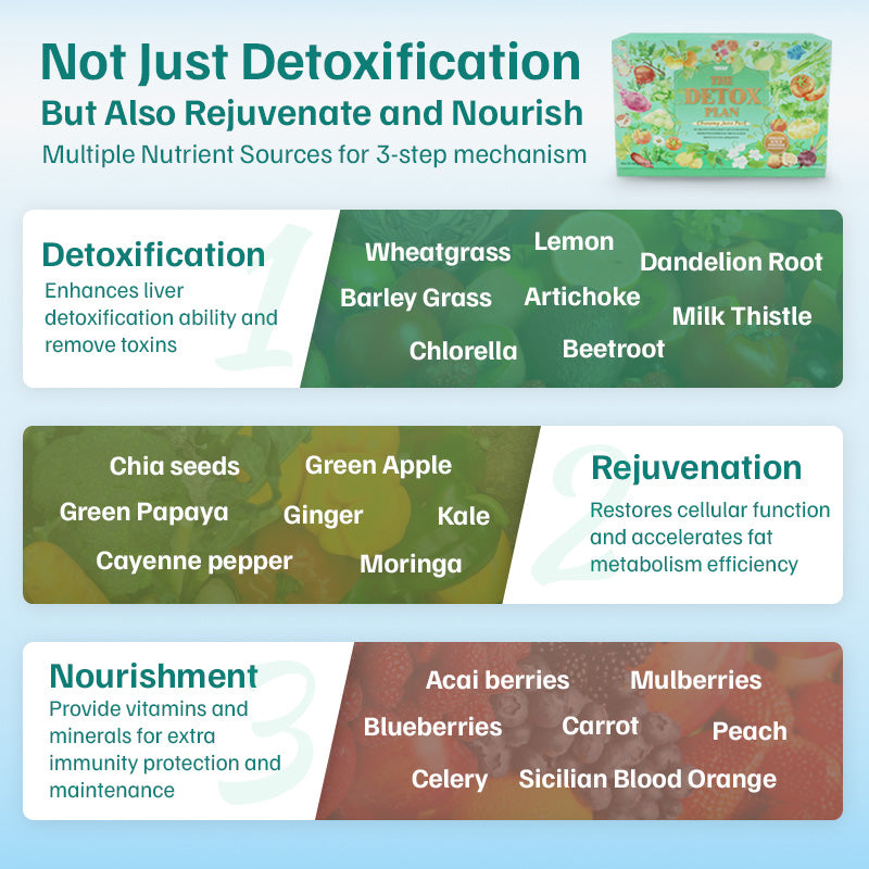 The Detox Plan - Rejuvenation Cleanse